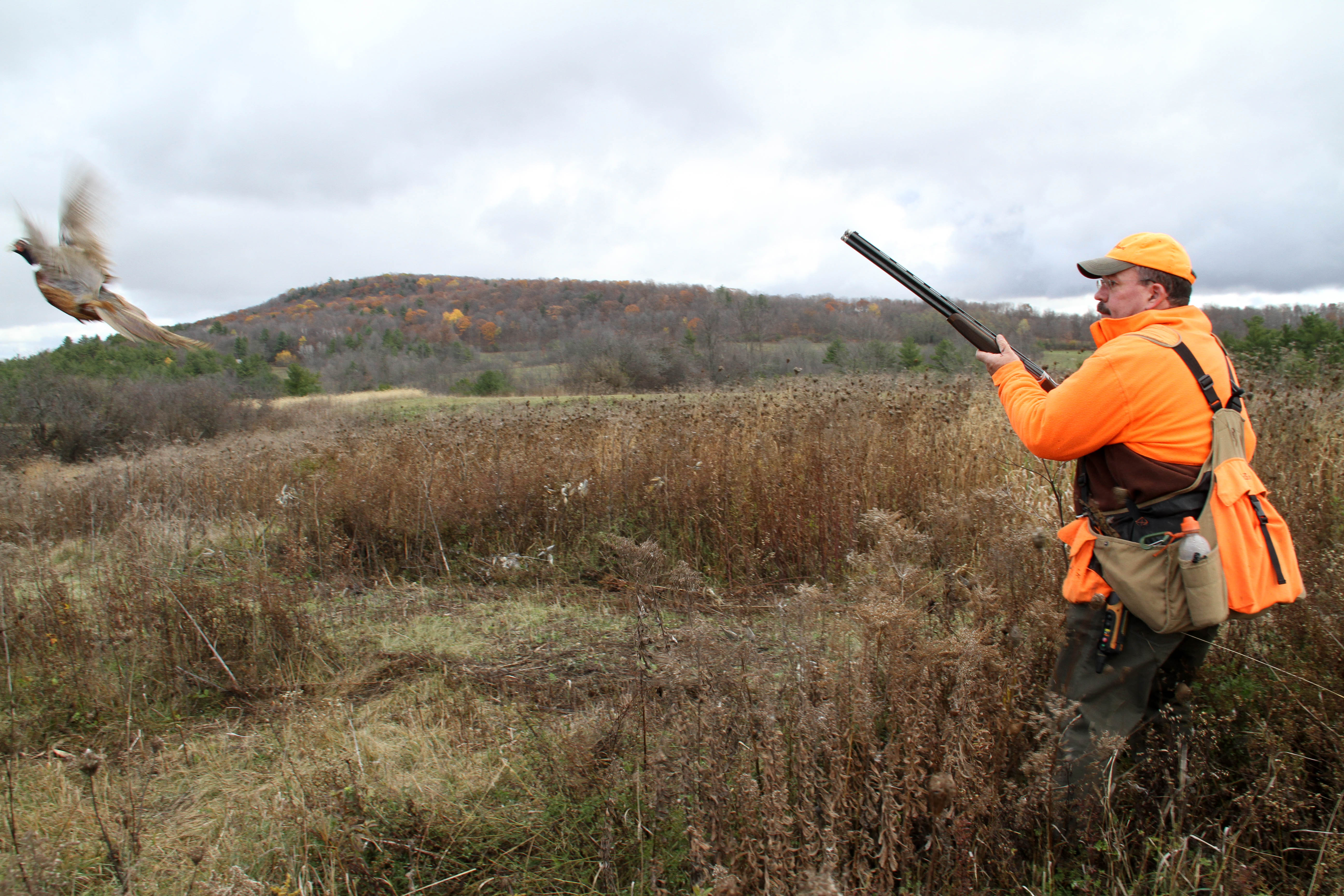 Peaceable Hill Pheasant Preserve Vermont